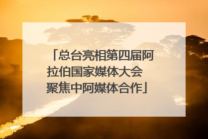 总台亮相第四届阿拉伯国家媒体大会 聚焦中阿媒体合作