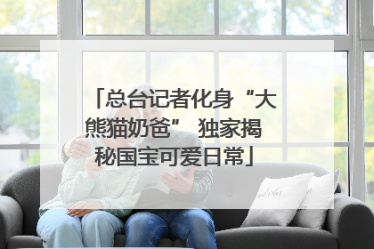 总台记者化身“大熊猫奶爸” 独家揭秘国宝可爱日常