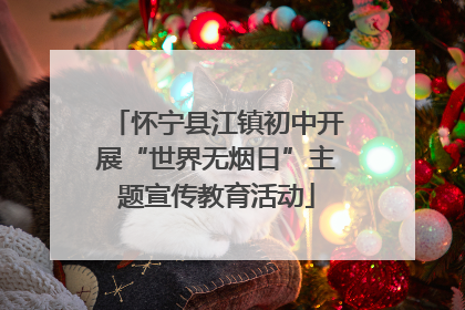 怀宁县江镇初中开展“世界无烟日”主题宣传教育活动