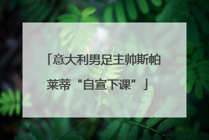 意大利男足主帅斯帕莱蒂“自宣下课”