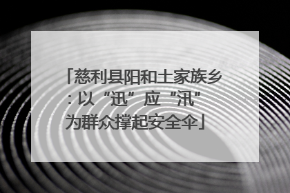 慈利县阳和土家族乡：以“迅”应“汛” 为群众撑起安全伞