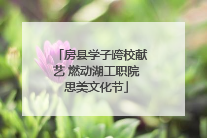 房县学子跨校献艺 燃动湖工职院思美文化节
