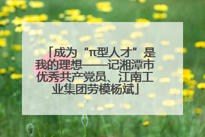 成为“π型人才”是我的理想——记湘潭市优秀共产党员、江南工业集团劳模杨斌