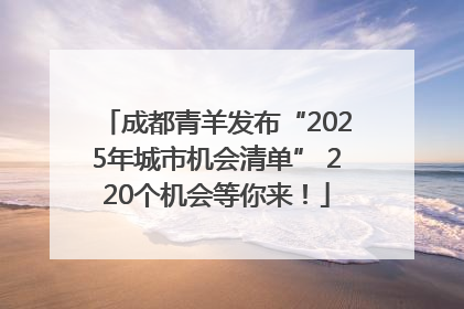 成都青羊发布“2025年城市机会清单” 220个机会等你来！