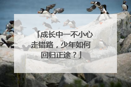 成长中一不小心走错路，少年如何回归正途？