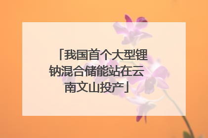 我国首个大型锂钠混合储能站在云南文山投产