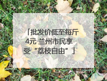批发价低至每斤4元 兰州市民享受“荔枝自由”