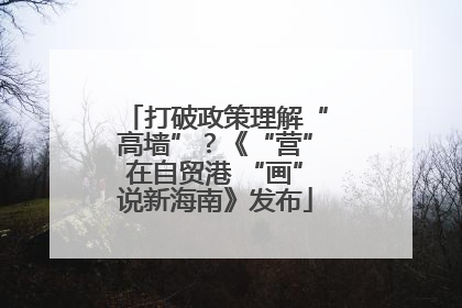 打破政策理解“高墙”？《“营”在自贸港 “画”说新海南》发布