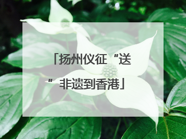 扬州仪征“送”非遗到香港