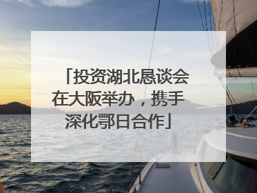 投资湖北恳谈会在大阪举办，携手深化鄂日合作