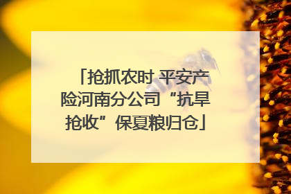 抢抓农时 平安产险河南分公司“抗旱抢收”保夏粮归仓