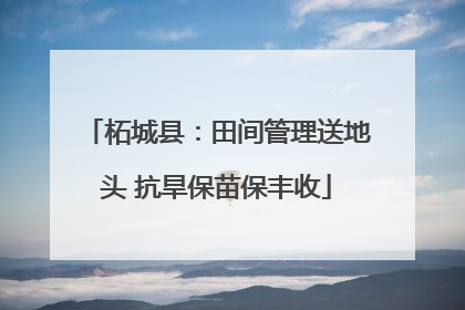 柘城县：田间管理送地头 抗旱保苗保丰收