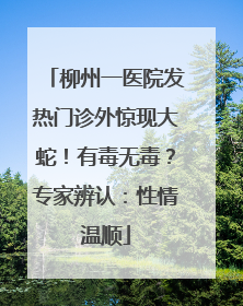柳州一医院发热门诊外惊现大蛇！有毒无毒？专家辨认：性情温顺