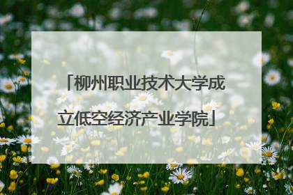 柳州职业技术大学成立低空经济产业学院