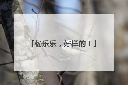 杨乐乐，好样的！
