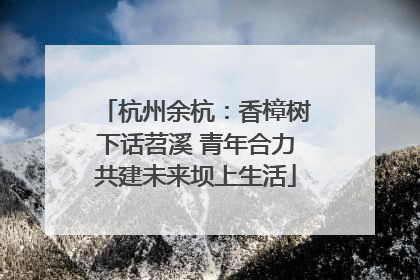 杭州余杭：香樟树下话苕溪 青年合力共建未来坝上生活