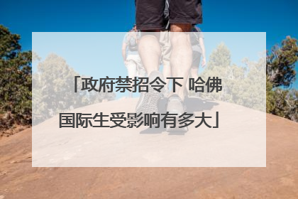 政府禁招令下 哈佛国际生受影响有多大