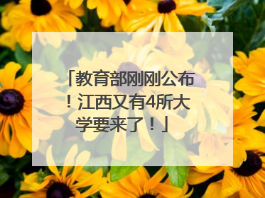 教育部刚刚公布！江西又有4所大学要来了！