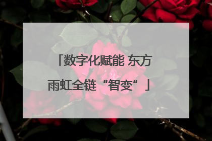 数字化赋能 东方雨虹全链“智变”
