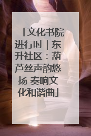 文化书院进行时｜东升社区：葫芦丝声韵悠扬 奏响文化和谐曲