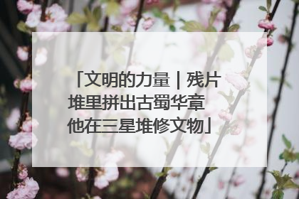 文明的力量｜残片堆里拼出古蜀华章 他在三星堆修文物