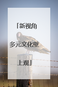 新视角 多元文化壁上观