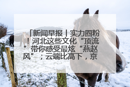 新闻早报丨实力圈粉！河北这些文化“顶流”带你感受最炫“燕赵风”；云端比高下，京津冀风筝高手“花式炫技”>>