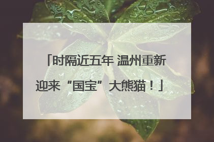 时隔近五年 温州重新迎来“国宝”大熊猫！