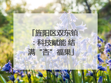 旌阳区双东镇：科技赋能 结满“杏”福果