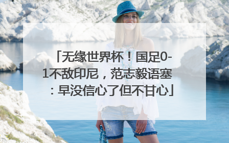 无缘世界杯！国足0-1不敌印尼，范志毅语塞：早没信心了但不甘心