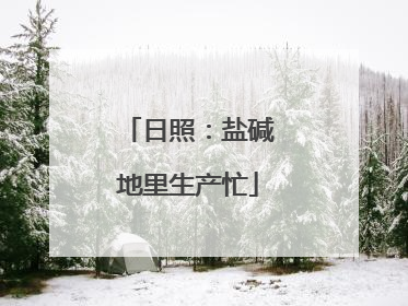 日照：盐碱地里生产忙