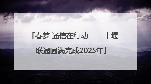 春梦 通信在行动——十堰联通圆满完成2025年