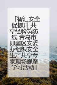 智汇安全促提升 共享经验筑防线 青岛市即墨区安委办组织安全生产共享专家现场观摩学习活动