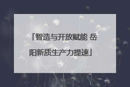 智造与开放赋能 岳阳新质生产力提速