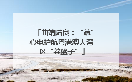 曲靖陆良：“蔬”心电护航粤港澳大湾区“菜篮子”
