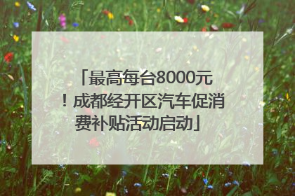 最高每台8000元！成都经开区汽车促消费补贴活动启动