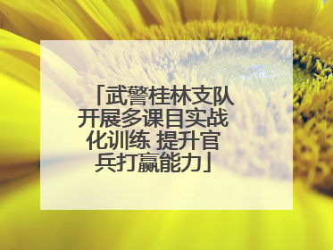武警桂林支队开展多课目实战化训练 提升官兵打赢能力