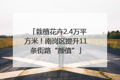 栽植花卉2.4万平方米！南岗区提升11条街路“颜值”