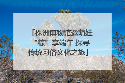 株洲博物馆邀萌娃“粽”享端午 探寻传统习俗文化之旅