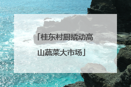 桂东村厨撬动高山蔬菜大市场
