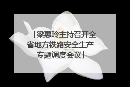 梁惠玲主持召开全省地方铁路安全生产专题调度会议