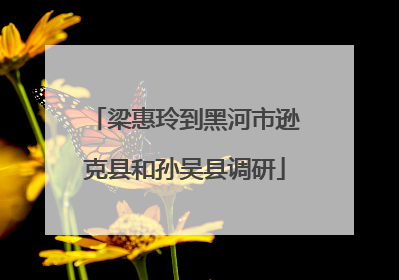 梁惠玲到黑河市逊克县和孙吴县调研