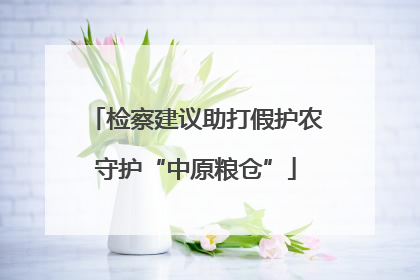检察建议助打假护农守护“中原粮仓”
