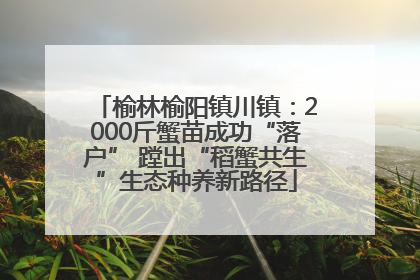 榆林榆阳镇川镇：2000斤蟹苗成功“落户” 蹚出“稻蟹共生”生态种养新路径