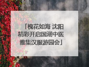 槐花如海 沈阳精彩开启国潮中医雅集汉服游园会