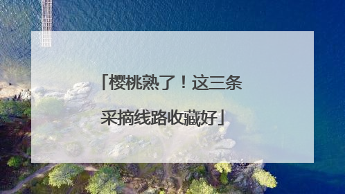 樱桃熟了！这三条采摘线路收藏好