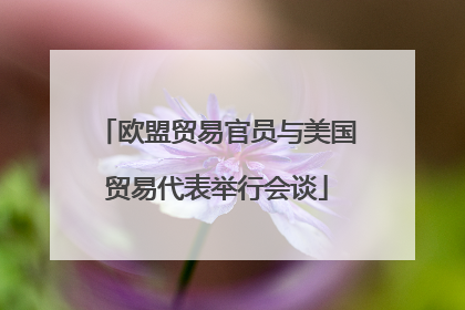 欧盟贸易官员与美国贸易代表举行会谈