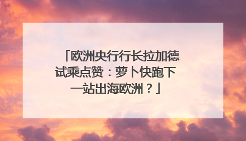 欧洲央行行长拉加德试乘点赞：萝卜快跑下一站出海欧洲？