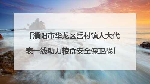 濮阳市华龙区岳村镇人大代表一线助力粮食安全保卫战