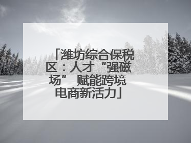 潍坊综合保税区：人才“强磁场” 赋能跨境电商新活力